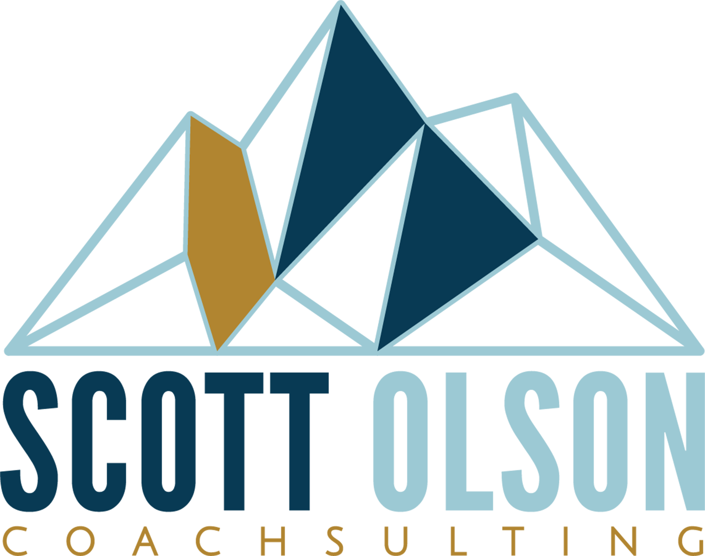 BLOG | Scott Olson Coachsulting